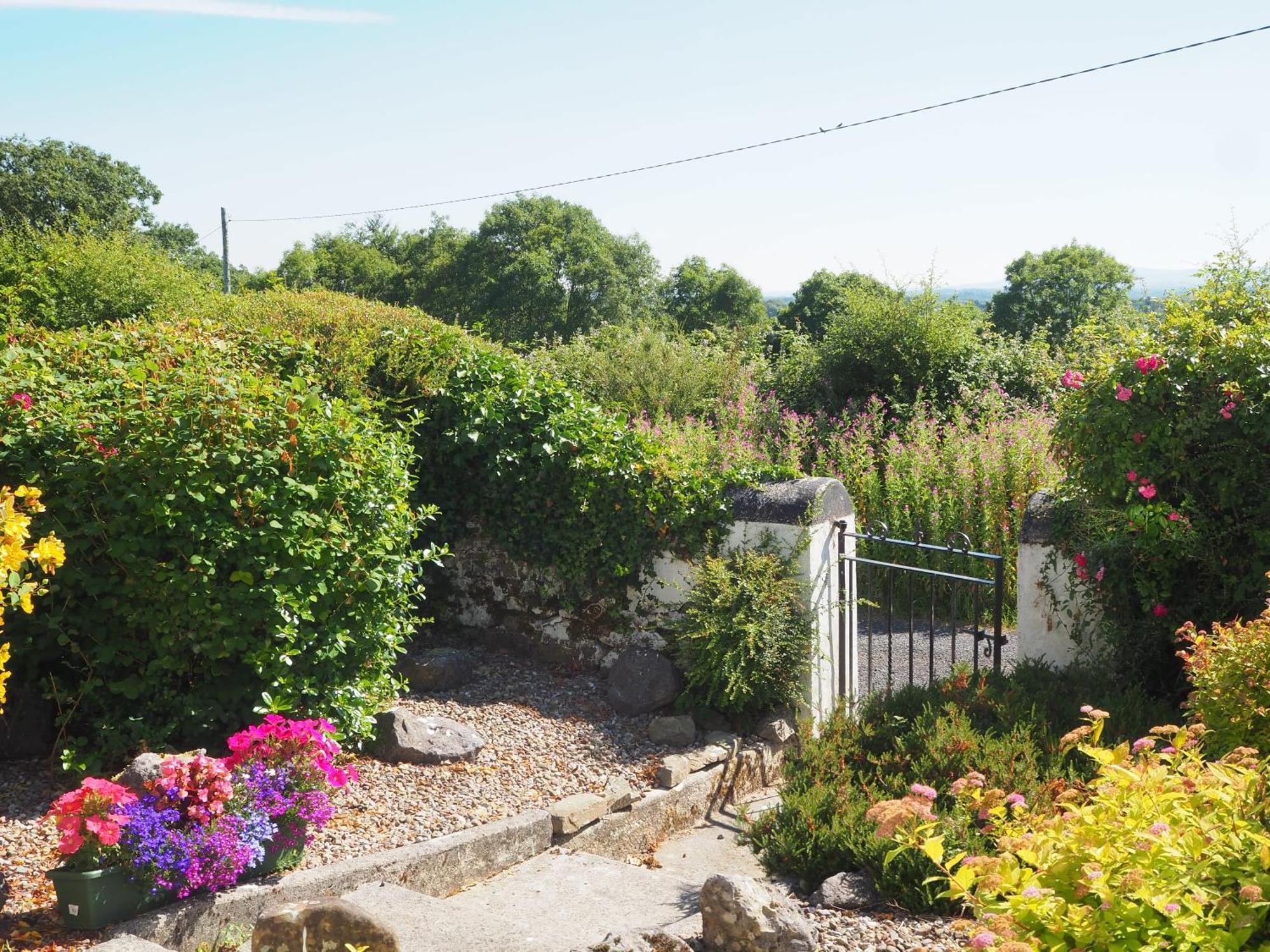 The Cottage @ Burkedale House Corofin  Eksteriør bilde