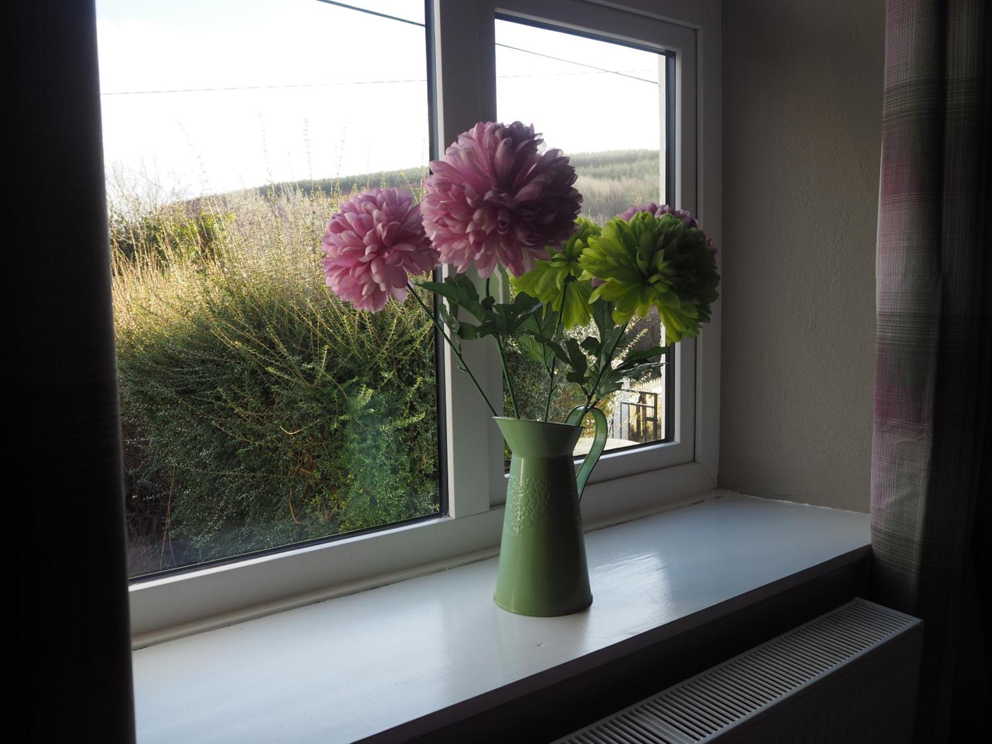 The Cottage @ Burkedale House Corofin  Eksteriør bilde
