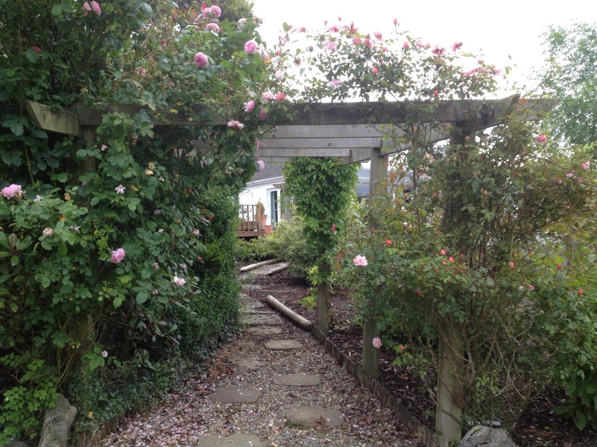 The Cottage @ Burkedale House Corofin  Eksteriør bilde